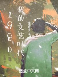 1980我的文艺时代封面