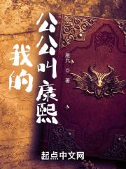 我的公公叫康熙封面