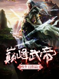 巅峰武帝封面